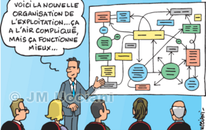 ORGANIGRAMME DU CLUB