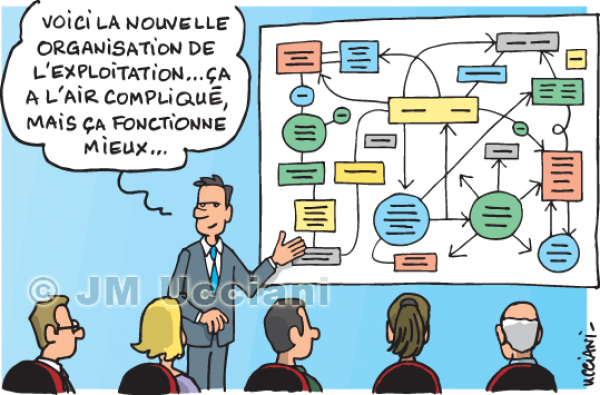 ORGANIGRAMME DU CLUB