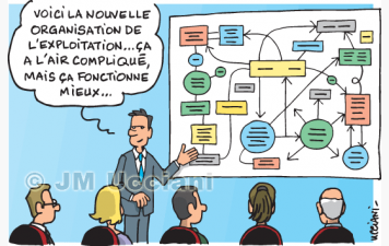 ORGANIGRAMME DU CLUB