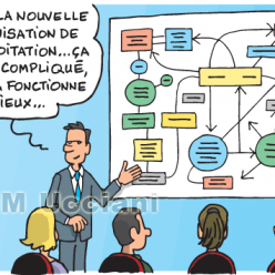 ORGANIGRAMME DU CLUB